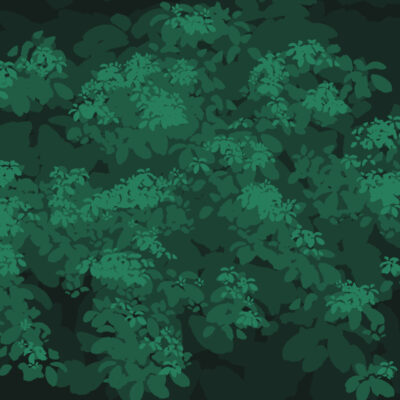 beitragsbild beitragsbild